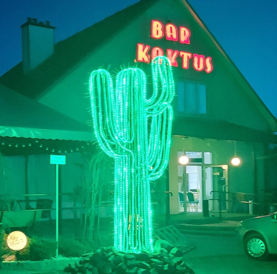BAR KAKTUS DĘBICA